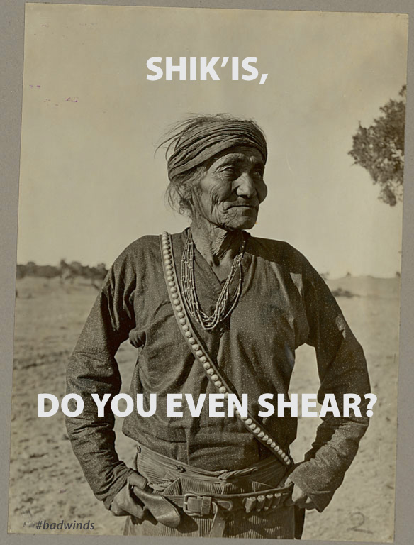 Shik'is, Do You Even Shear? image. Created by Badwinds.